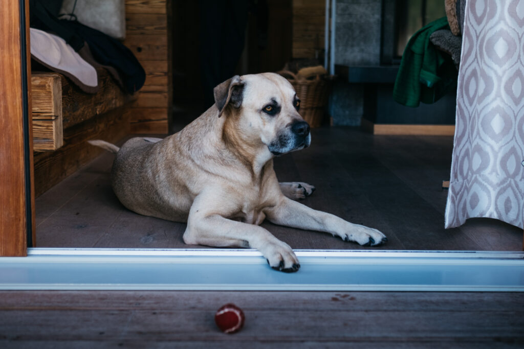 Gamsalm Ehrwald Hochzeit